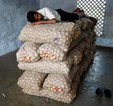 A trader sleeps on sacks of onions at a wholesale market in Ahmedabad.