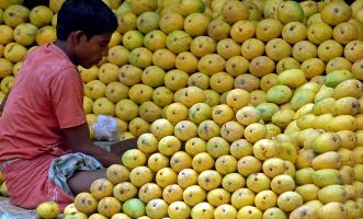 A hawker arranges mangoes at a roadside shop in Chennai.