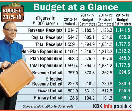 Budget in infographic