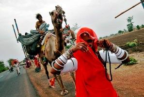 Image: A nomadic woman from Rajasthan walks near a camel carrying her belongings. Photographs: Adnan Abidi/Reuters 