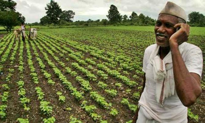 A farmer talks on his cell phone