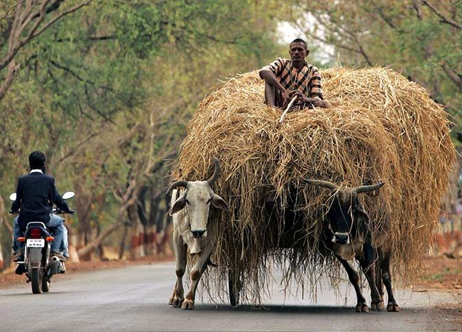 The image is used for representational purpose only. Photograph: Reuters