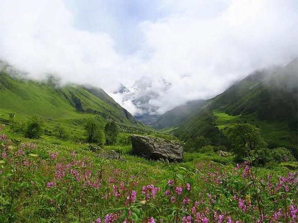 Uttarakhand's Valley of Flowers