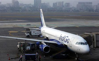 indigo baggage price