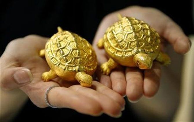 Gold tortoises
