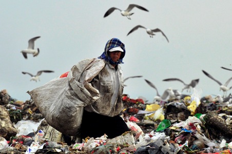 A garbage collector looks for recyclable waste as seagulls look for food at a garbage dump site in Dalian.