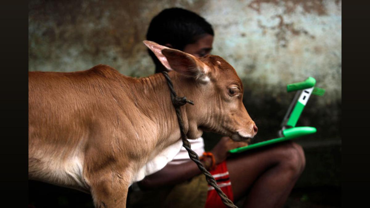 Rural Youth Internet Access: 82% Can Use Internet, Says Govt Survey