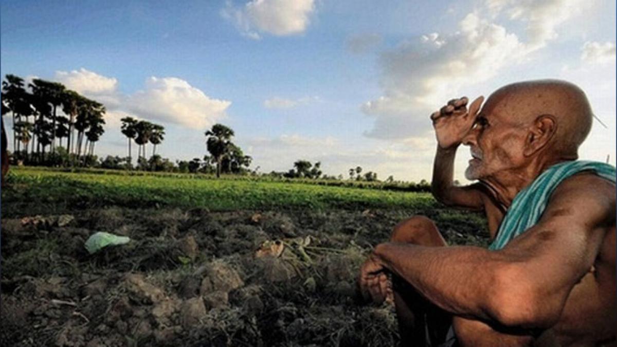 Haryana Launches Viksit Krishi Abhiyan