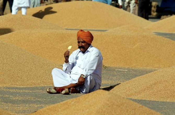 Wheat stock: Govt to take action against hoarders