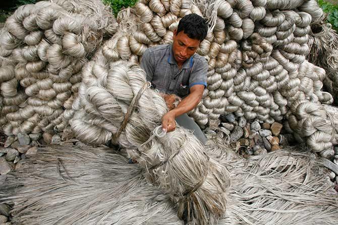 A jute worker