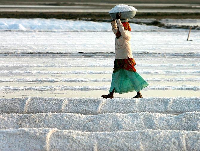 A salt pan worker