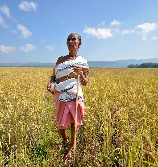 Photograph: Anuwar Hazarika/Reuters