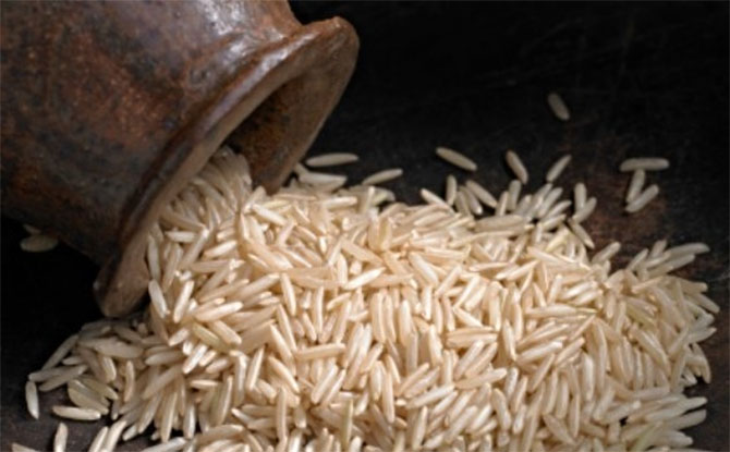 Punjab Aims for 10 Lakh Hectares Basmati Crop in 2024-25