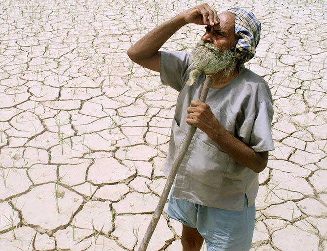 An old farmer waits for rain