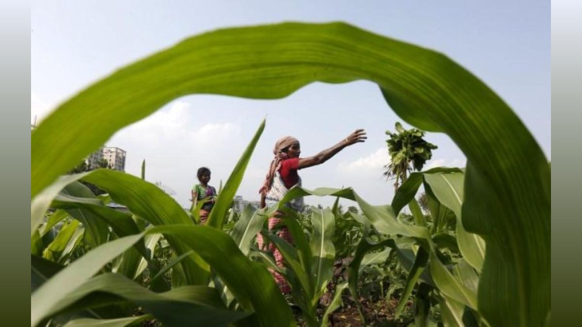 UP Launches Rs 4k-cr Agri Project to Boost Output & Rural Economy