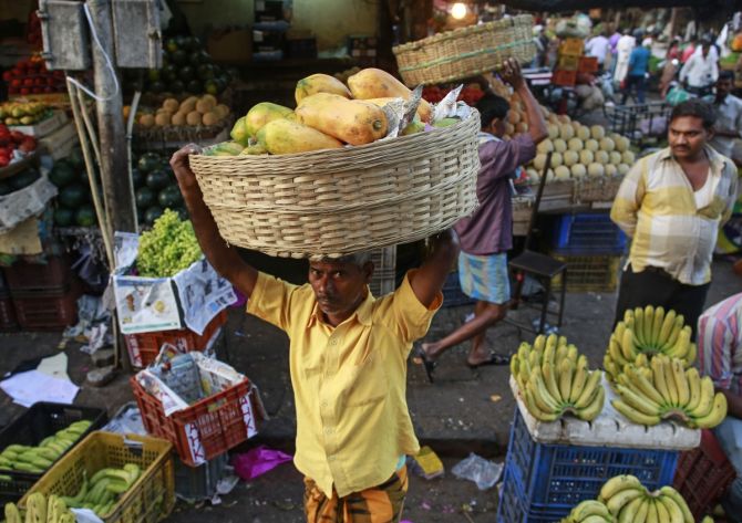 India Aims for $1 Billion Banana Exports in 5 Years