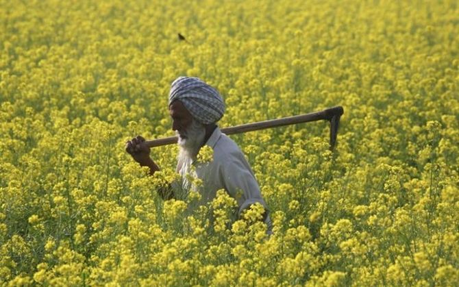 Haryana Budget 2024-25: Crop Loan Interest Waiver Amid Farmer Protests