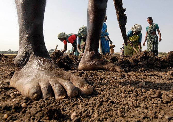 Labourers work on a dried lake to try and revive it under the National Rural Employment Guarantee Act at Ibrahimpatnam, on the outskirts of Hyderabad, June 17, 2009. Photo: Krishnendu Halder/Reuters