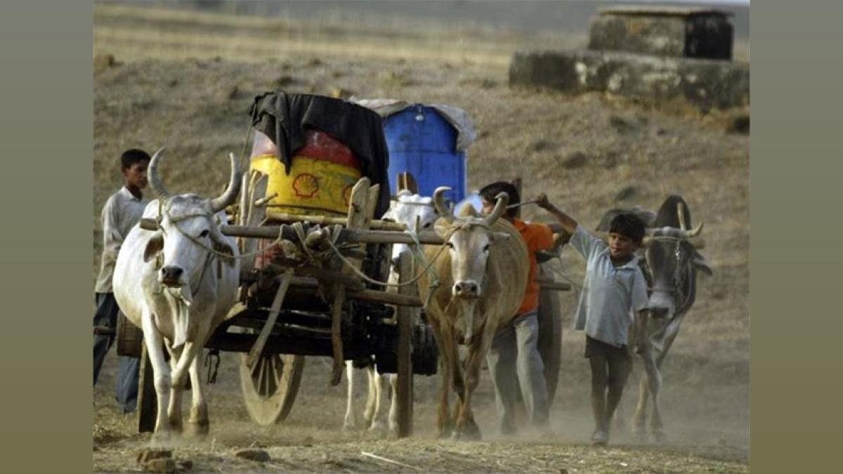 India's Economy Grows at 8.2% in FY24, Fastest Globally
