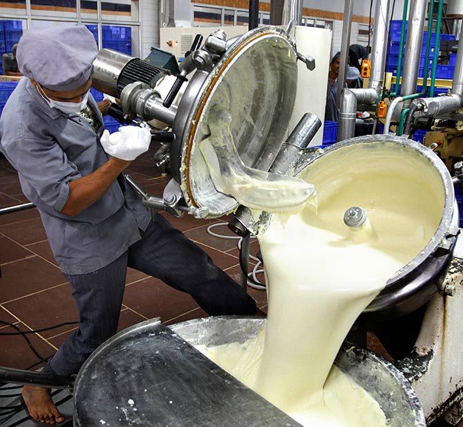 A worker unloads processed cheese from a pressure cooker during a media tour to Amul satellite dairy in Khatraj village, located in the western Indian state of Gujarat June 29, 2011. Amul, one of the popular Indian dairy brands, is owned and marketed by Gujarat Cooperative Milk Marketing Federation. Photo: Amit Dave/Reuters