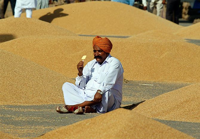 A farmer eats an ice-cream as he waits to procure his wheat crop at a wholesale grain market in the northern Indian city of Chandigarh April 26, 2014. Photo: Ajay Verma/Reuters