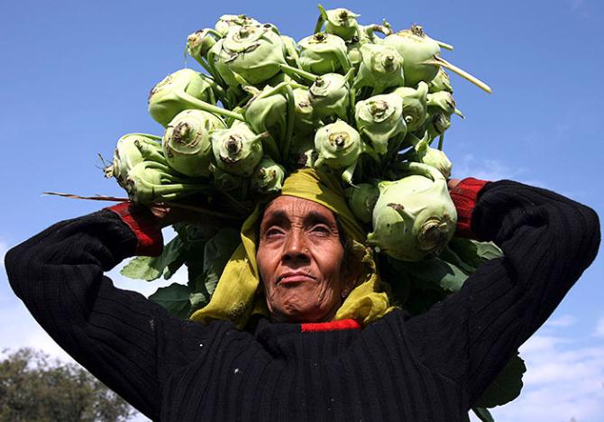 Woman farm