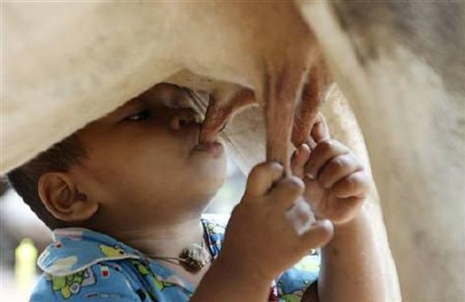 Interim Budget Boosts Agri, Dairy: Industry Leaders React