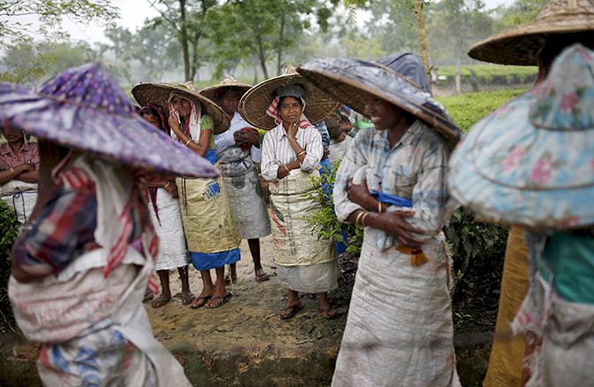 Tea garden workers wearing jappi hats made out of bamboo and palm leaves wait for the rain to stop to resume their work inside Aideobarie Tea Estate in Jorhat in Assam. Photograph: Ahmad Masood/Reuters.