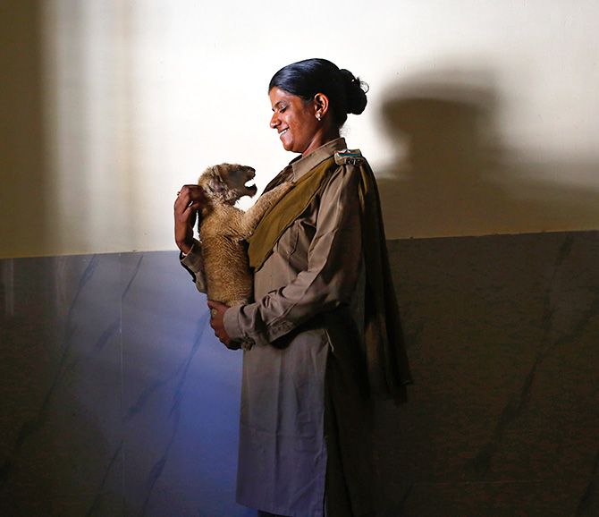 Forest guard Rashila Ben holds a lion cub inside an animal hospital located in the Gir National Park and Wildlife Sanctuary in Sasan, Gujarat. Photograph: Anindito Mukherjee/Reuters