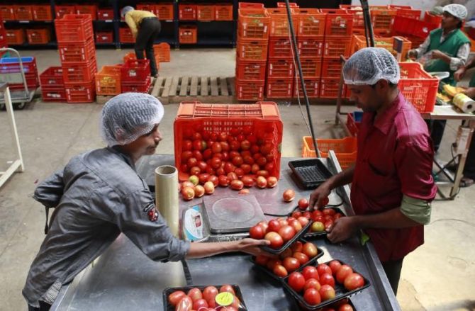 BigBasket to hire 10,000 people to speed up deliveries