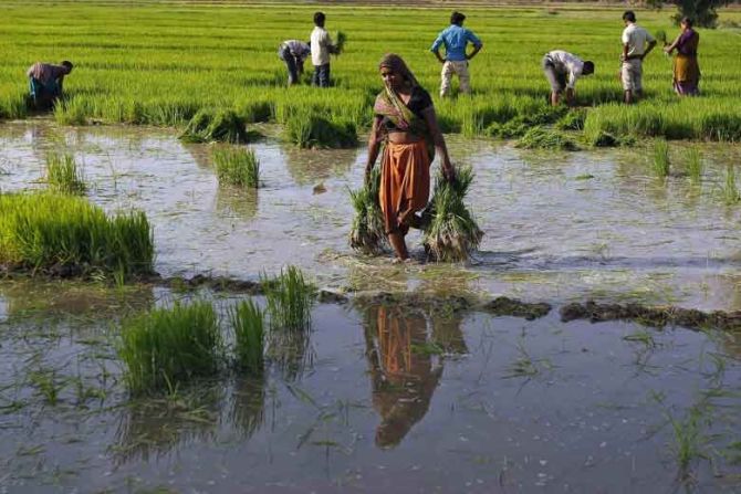 National Agricultural Code: Boosting Quality &amp; Best Practices in India's Farm Sector