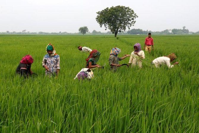 Boost Farm Exports, Cut Imports: MoS Agri Choudhary