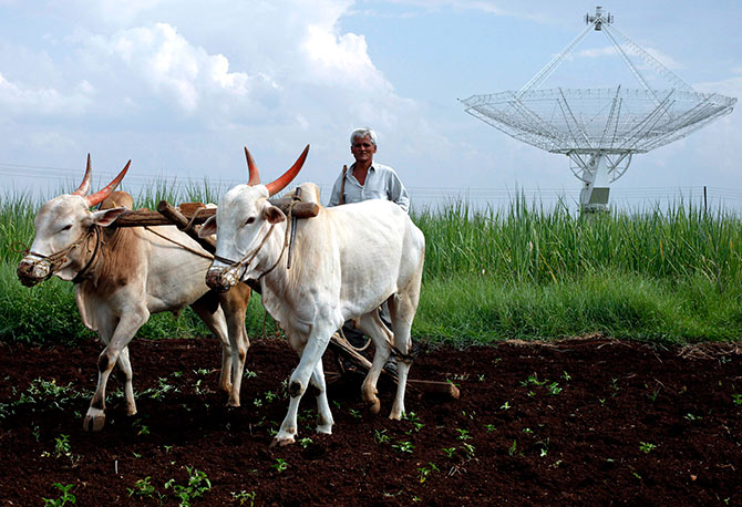 A farmer uses his oxen to till his land in front of a satellite dish set up in an adjacent field in Narayangaon September 28, 2012. Photograph: Vivek Prakash/Reuters