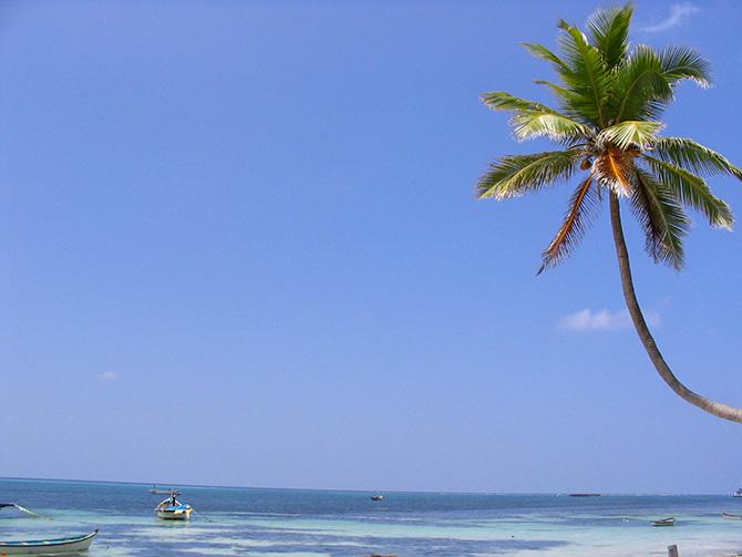 Kavaratti, Lakshadweep. Photograph: Courtesy Thejas/Wikimedia Commons