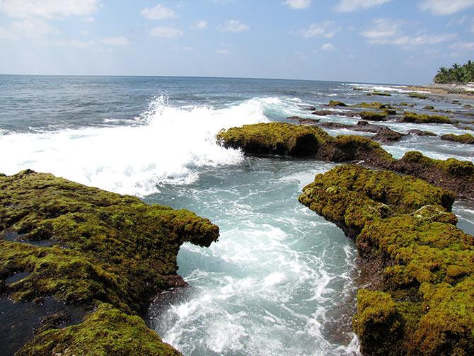 Agatthiyatti Stones, Kalpeni, Lakshadweep. Photograph: Courtesy Vaikoovery/Wikimedia Commons.