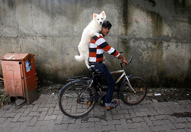 Man and his dog and his cycle, Mumbai. Photograph: Danish Siddiqui/Reuters.  