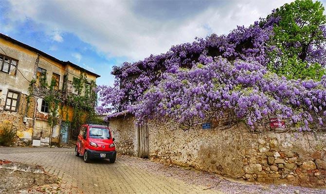 Qute is already on streets of Turkey. Photograph: Courtesy www.globalbajaj.com.