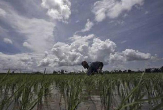 IMD tweaks monsoon forecast to help plan crops better