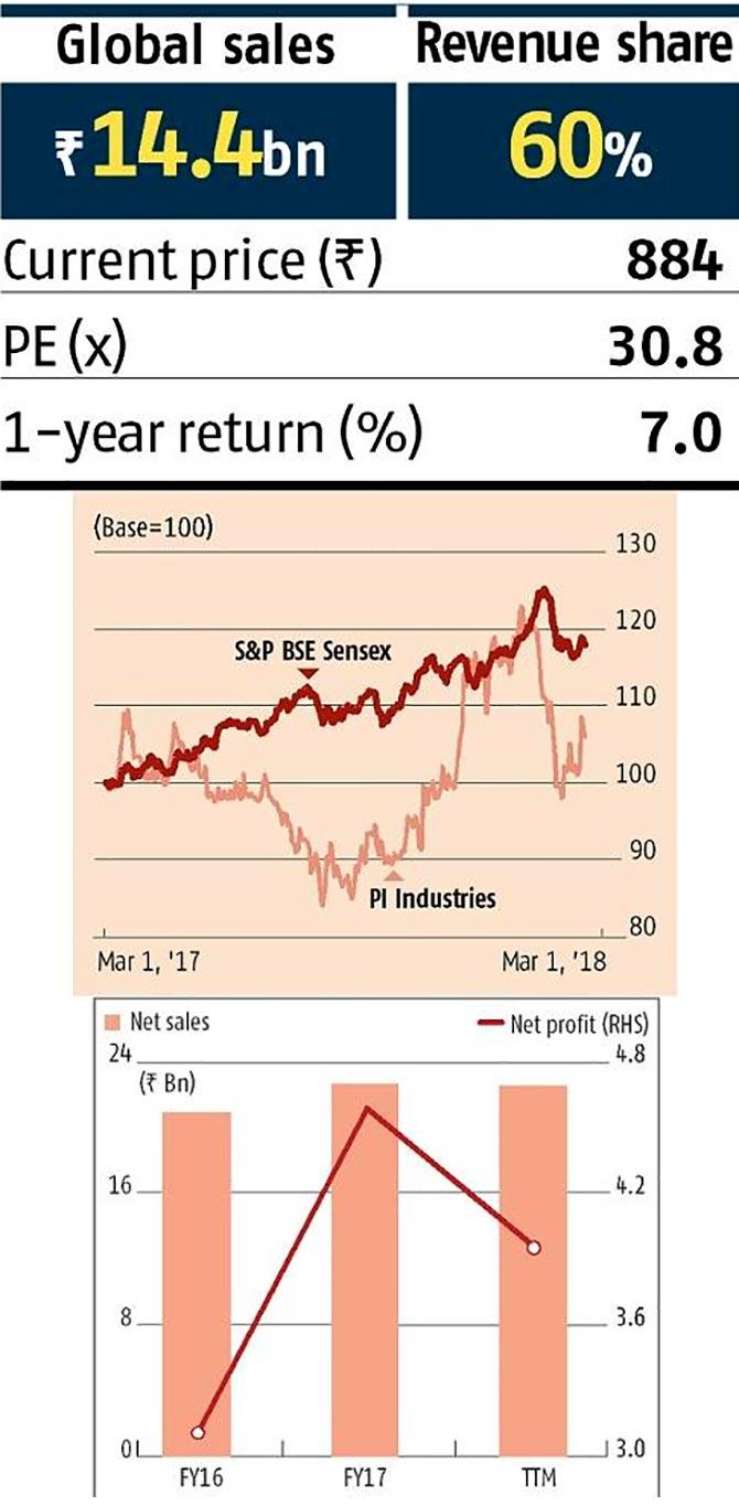 Can these stocks shine amid market gloom?