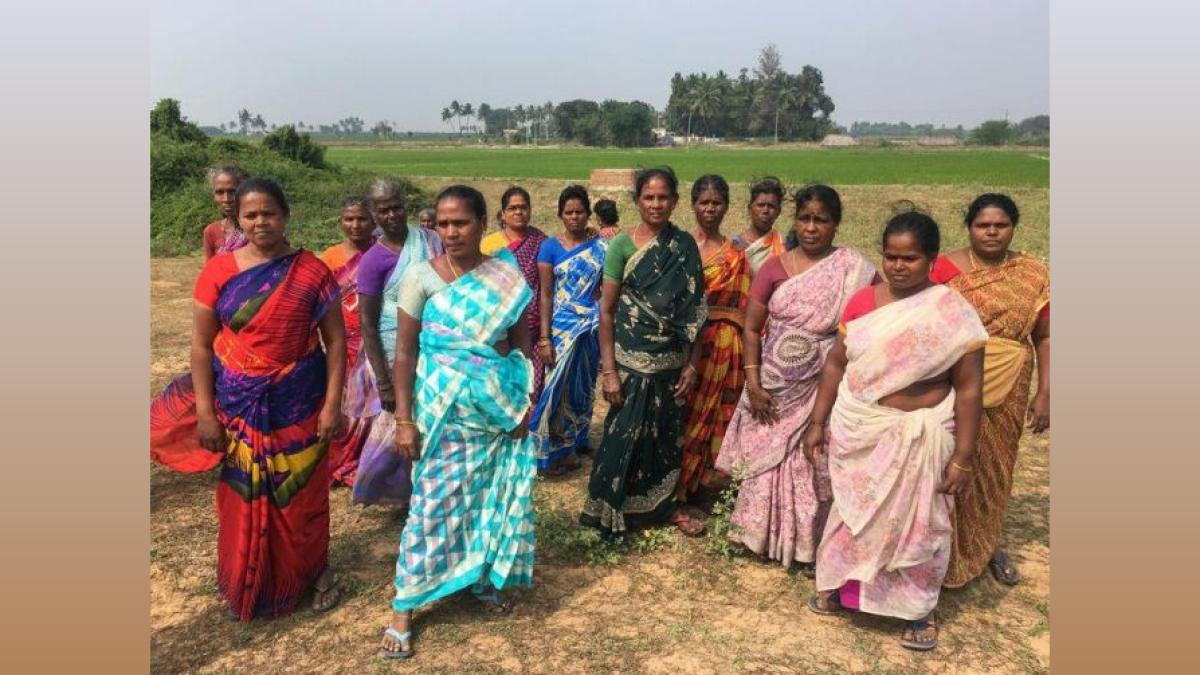 Centre Amends Salt Land Transfer Guidelines: Online Auctions, Welfare Focus