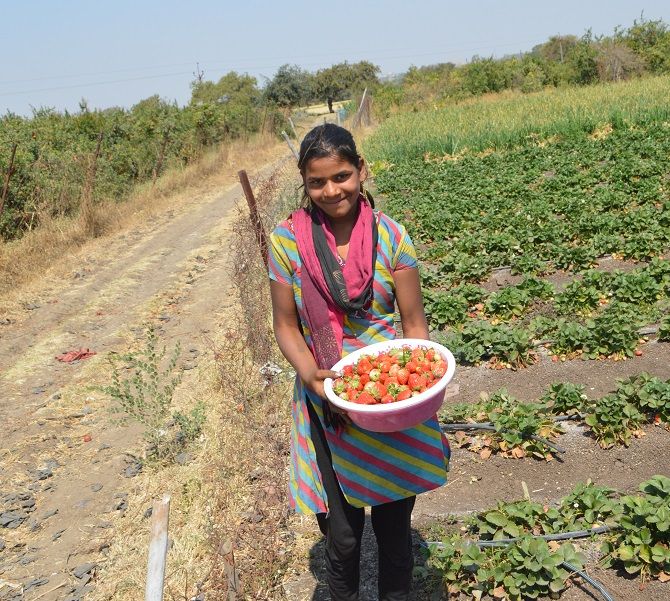 A girl somewhere in a village in Madhya Pradesh with her picked fruits from their farm. Photograph: Mahipal Soni / Rediff.com