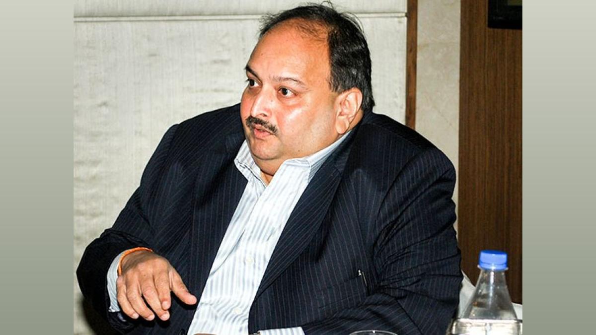PNB Scam: Court Allows Auction of Mehul Choksi's Properties