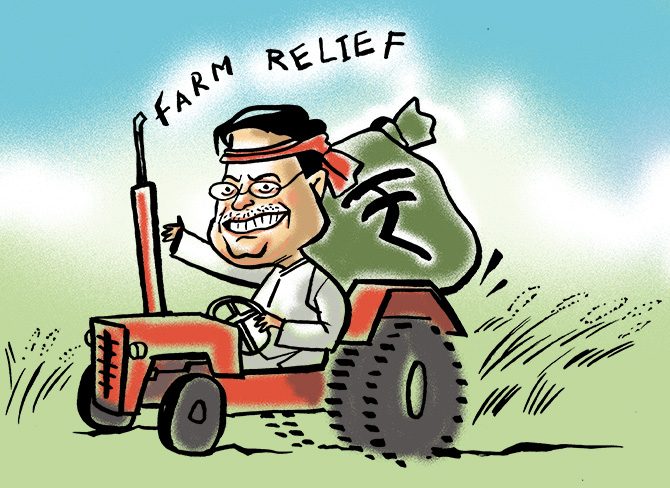 Agriculture Ministry Budget FY25: Rs 1.27 Lakh Crore
