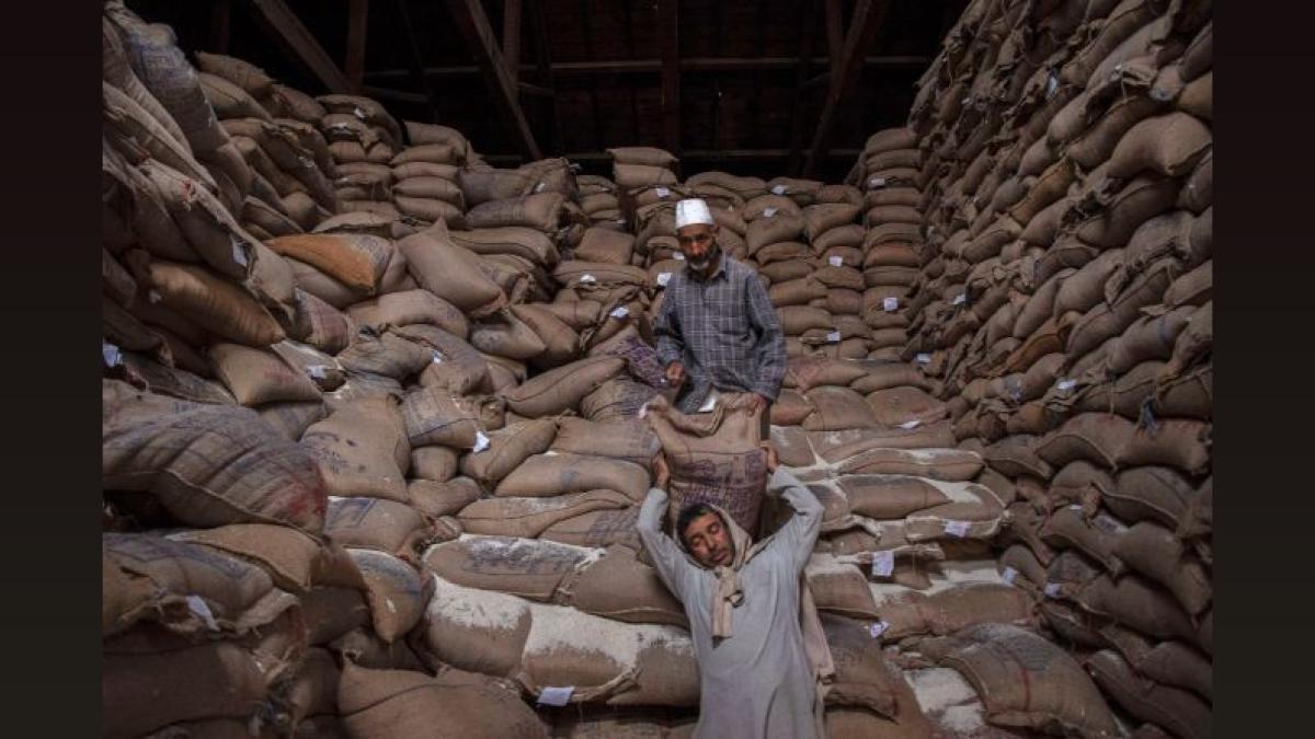 Punjab Targets 5 Lakh Acres for DSR Paddy Sowing
