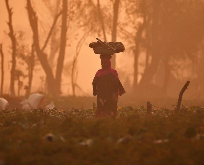Natural farming is gaining ground in India. Given the scale and size of India’s farm economy, does this technique have the capacity to spread across the country and deliver similar results in all agro-climatic conditions? Photograph: Danish Ismail/Reuters