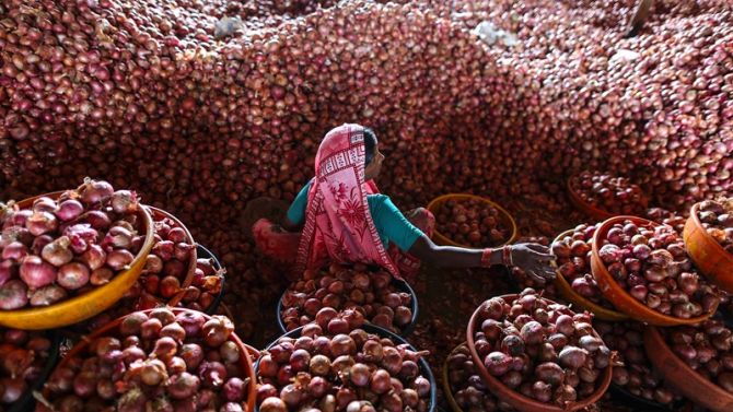 Onion prices shoot up as export curbs are lifted