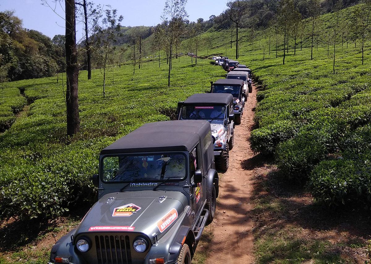 A cavalcade of Mahindra Thar's in Sakleshpur, Karnataka