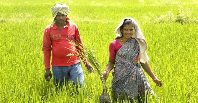 Indian farmers