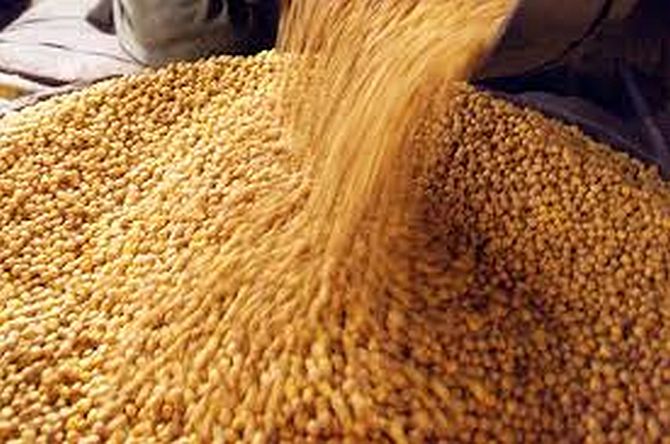 Bharat' Chana Dal Tops Sales with 25% Market Share