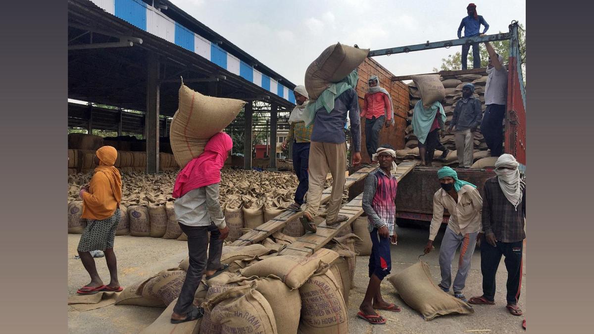 Punjab Wheat Procurement: Govt Fully Prepared - Lal Chand Kataruchak